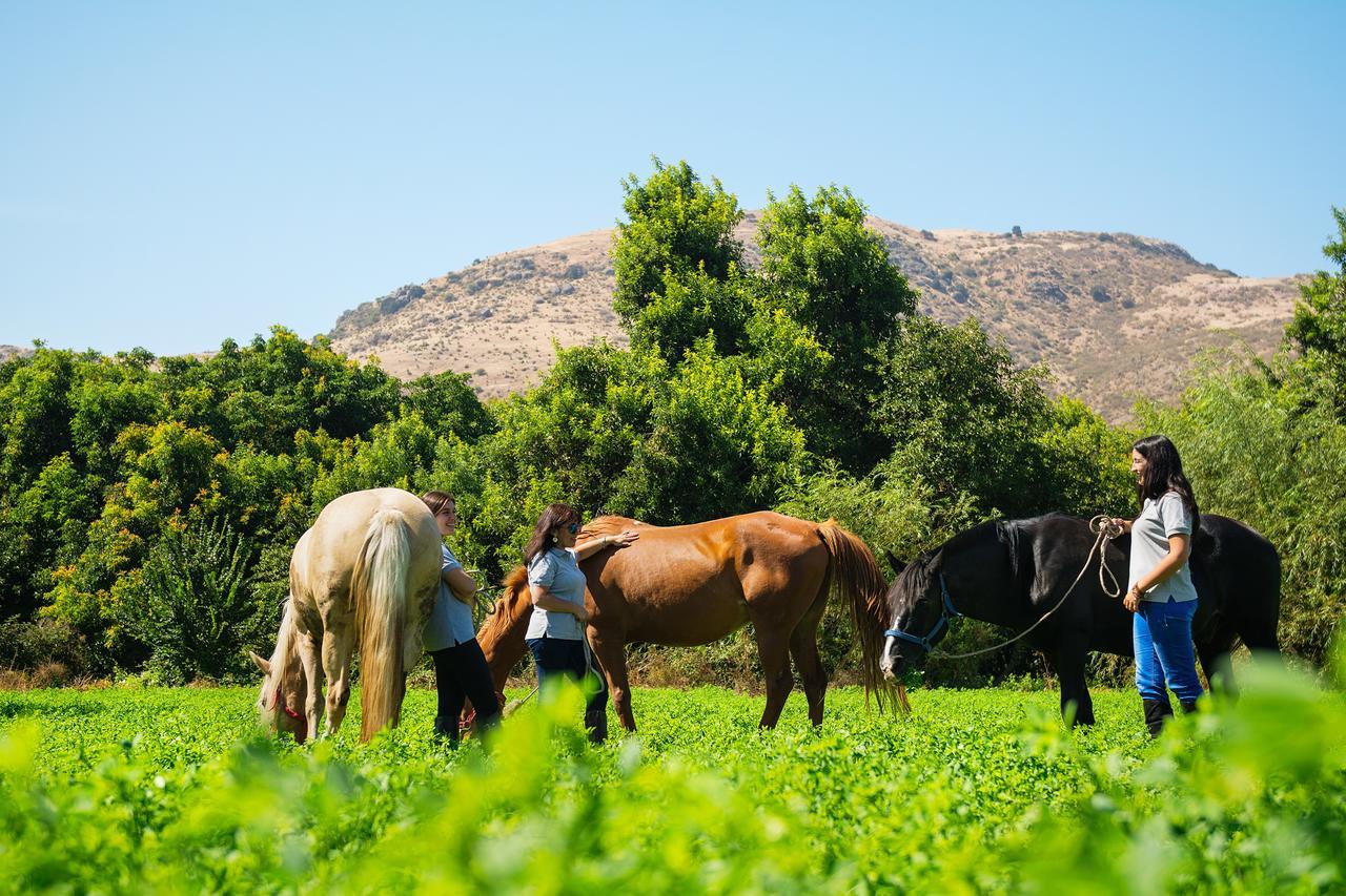 Agroturismo Uva Dulce Santiago