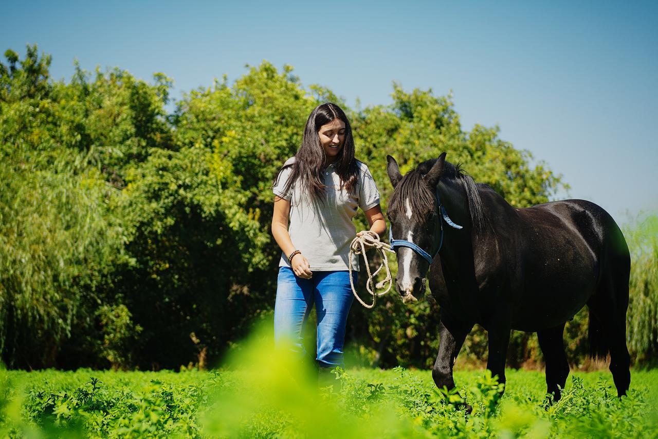 Agroturismo Uva Dulce Estadia no rancho