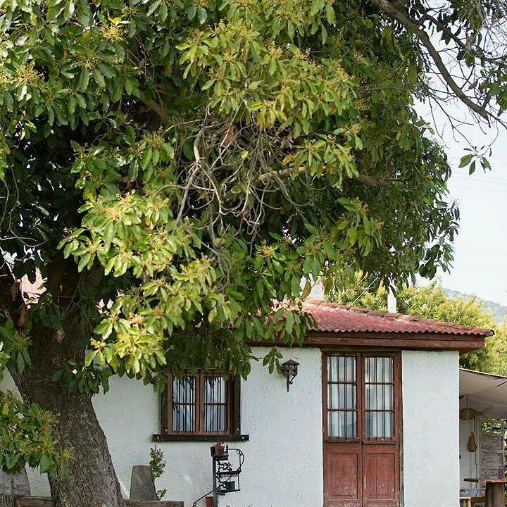 Agroturismo Uva Dulce Santiago