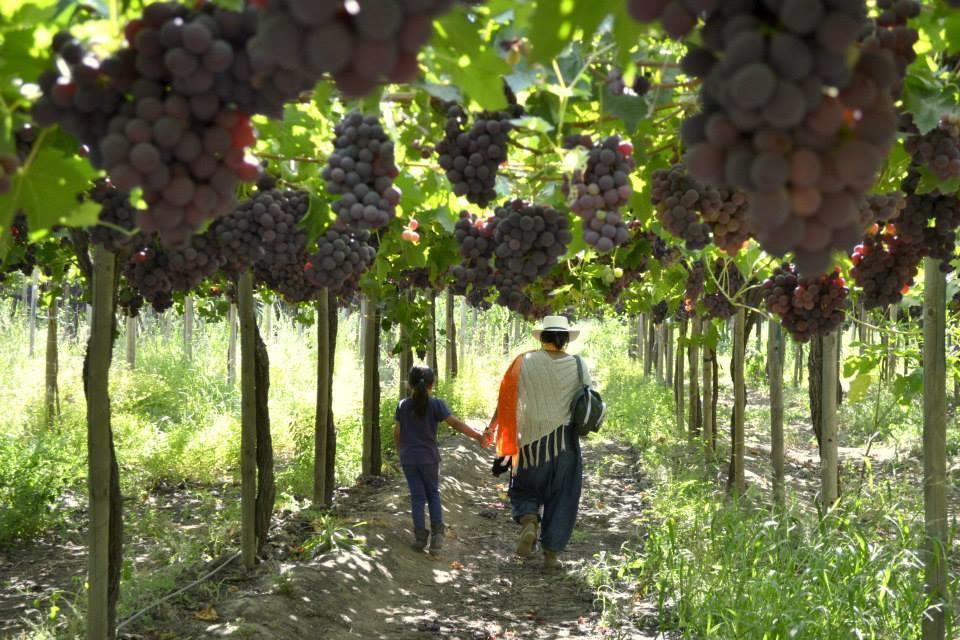 Agroturismo Uva Dulce