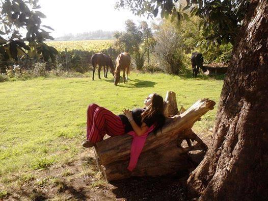 Agroturismo Uva Dulce *