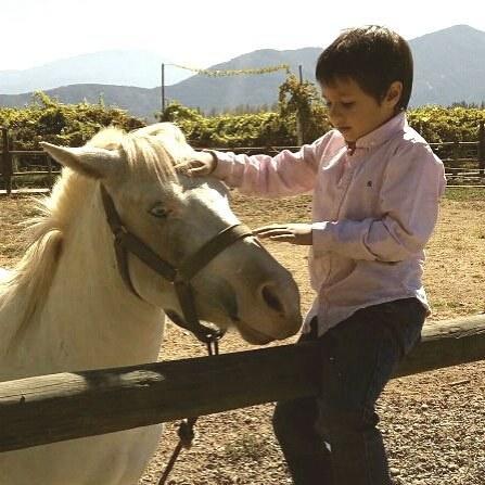Agroturismo Uva Dulce Estadia no rancho Santiago