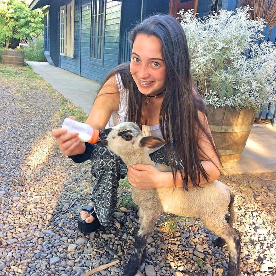 Agroturismo Uva Dulce * Santiago