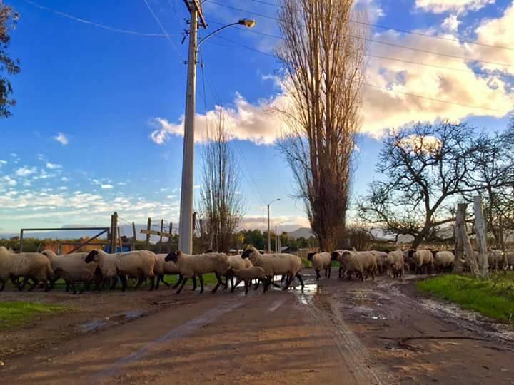 Agroturismo Uva Dulce * Santiago